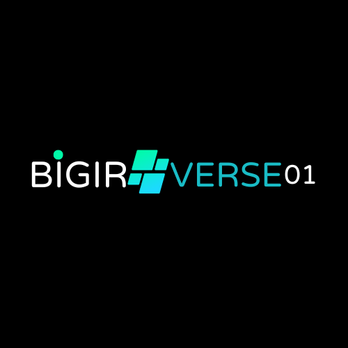 bigverse logo